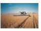 626/558 Hundred Cameron, Lochiel SA 5510