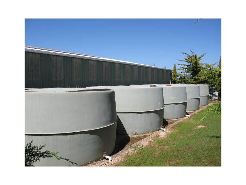 12 Shannon Terrace, Maitland SA 5573