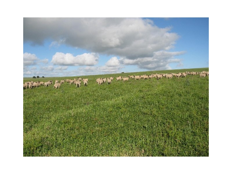 Sect. 141 Hundred Muloowurtie, Curramulka SA 5580