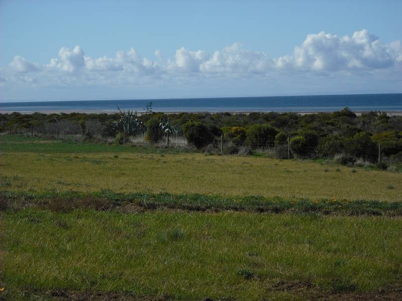 24 Barton Road, Tiddy Widdy Beach SA 5571