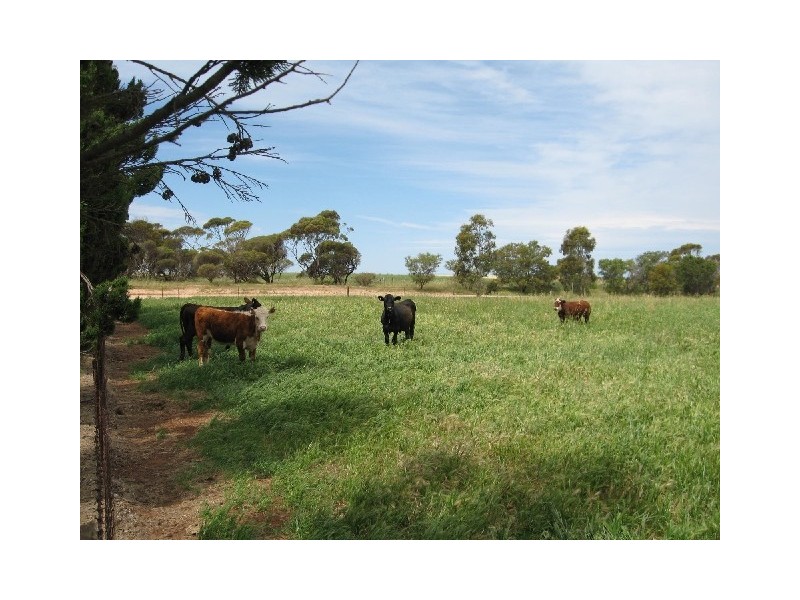 Section 63 Hundred Muloowurtie, Sandilands SA 5571
