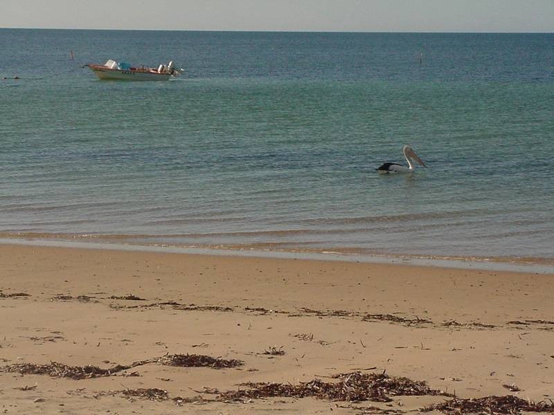 Rogues Point SA 5571