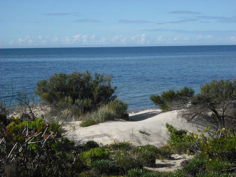 42 Esplanade, Pine Point SA 5571