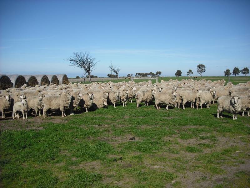 2 Ross Road, Pine Point SA 5571