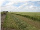 Lot 2 Brook Road, Pine Point SA 5571