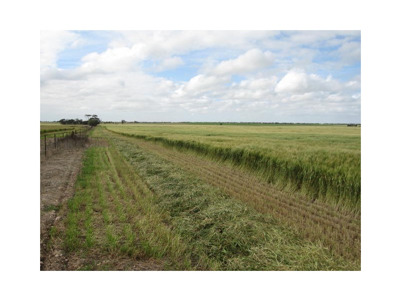 Lot 2 Brook Road, Pine Point SA 5571