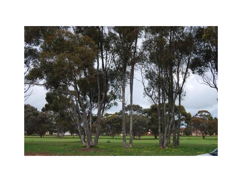 21 Gardiner Terrace, Maitland SA 5573