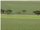 Sect. 321 Arthurton Road, Ardrossan SA 5571