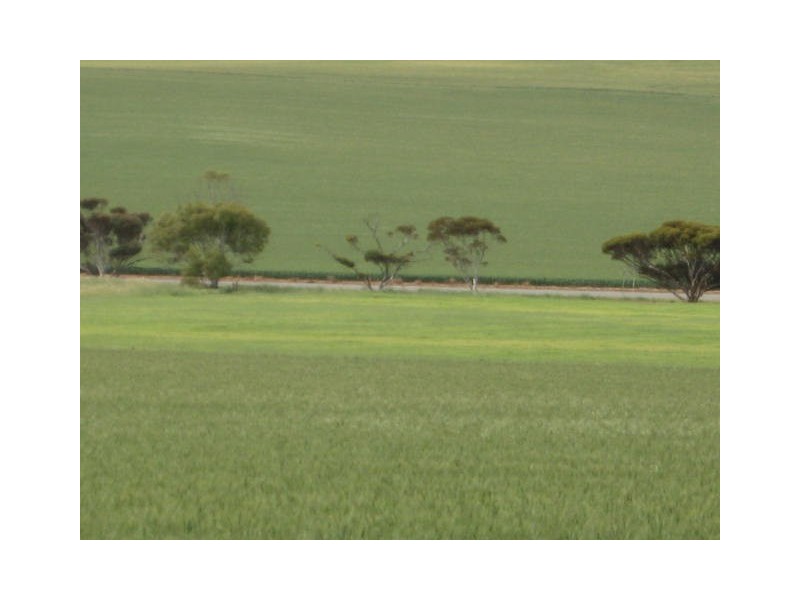 Sect. 321 Arthurton Road, Ardrossan SA 5571