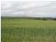 Sect. 321 Arthurton Road, Ardrossan SA 5571