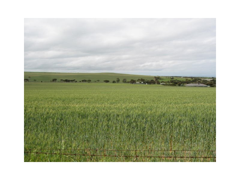 Sect. 321 Arthurton Road, Ardrossan SA 5571
