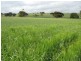 Sect. 321 Arthurton Road, Ardrossan SA 5571