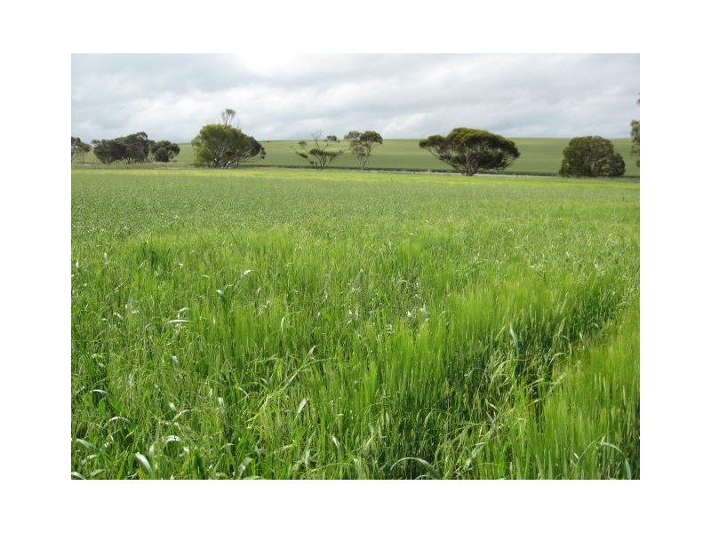 Sect. 321 Arthurton Road, Ardrossan SA 5571