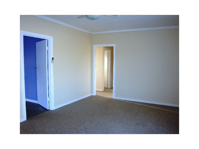 54 Tiddy Avenue, Maitland SA 5573