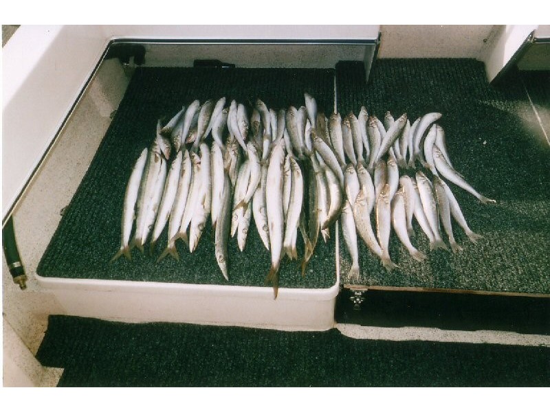 26 wells tce, Price SA 5570