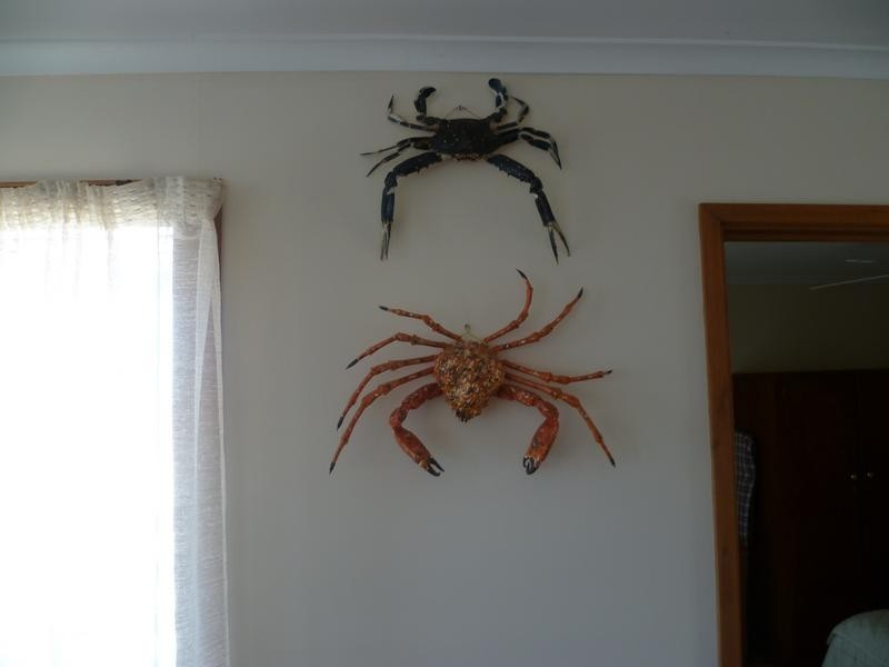 14 Hosking Road, Tiddy Widdy Beach SA 5571