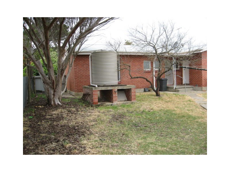 54 Tiddy Ave, Maitland SA 5573