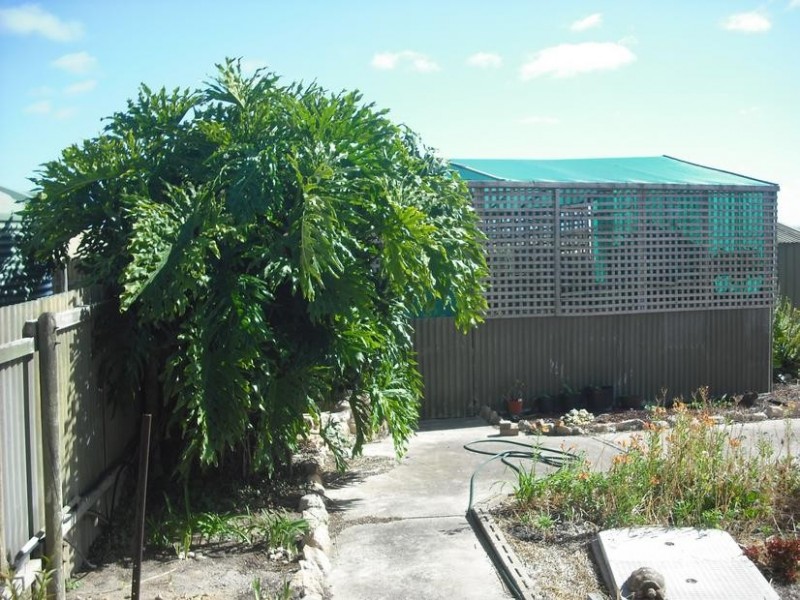 16-18 Main Street, Warooka SA 5577