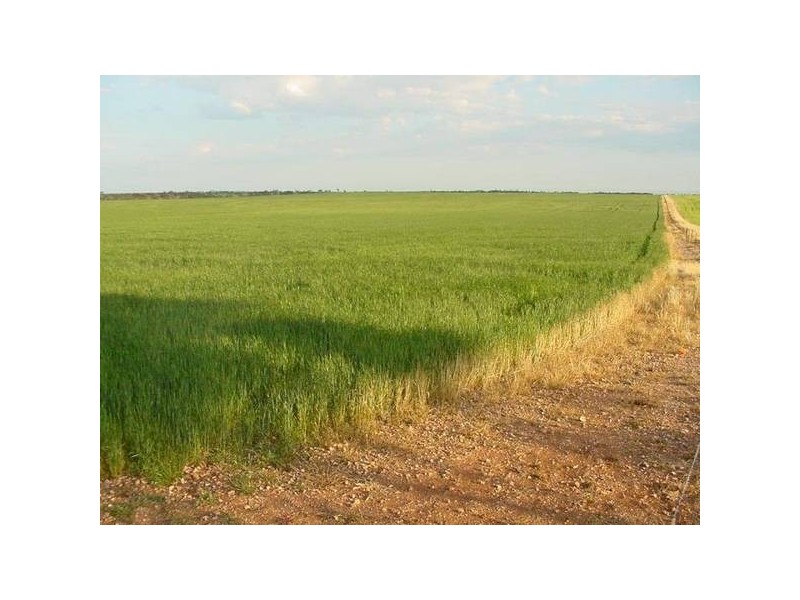 503N Hundred Of Clinton, Port Clinton SA 5570