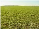 503N Hundred Of Clinton, Port Clinton SA 5570