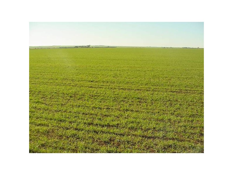 503N Hundred Of Clinton, Port Clinton SA 5570