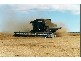 503N Hundred Of Clinton, Port Clinton SA 5570