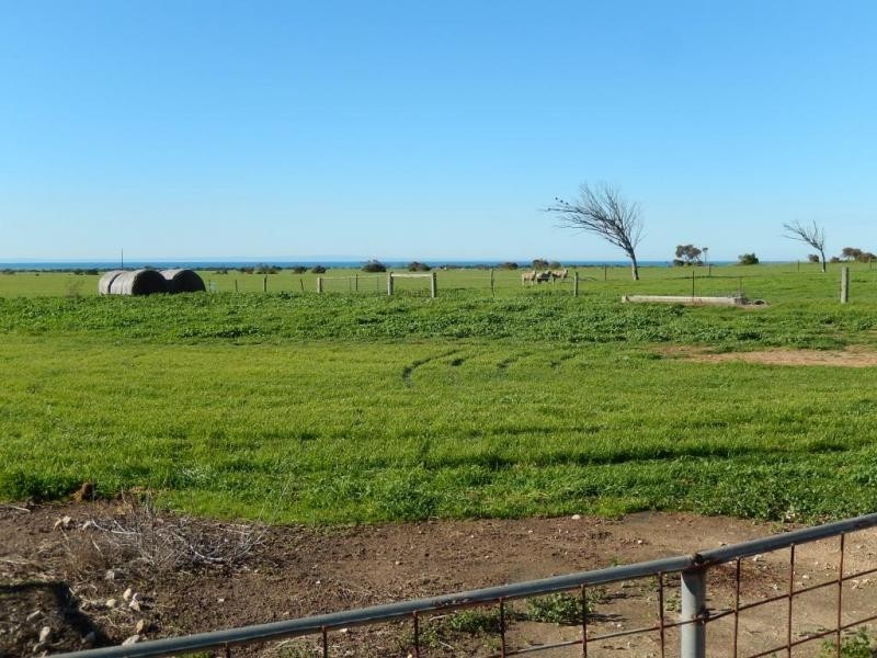 208 Ross Road, Pine Point SA 5571
