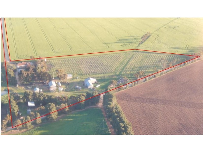 1341 Maitland Road, Ardrossan SA 5571
