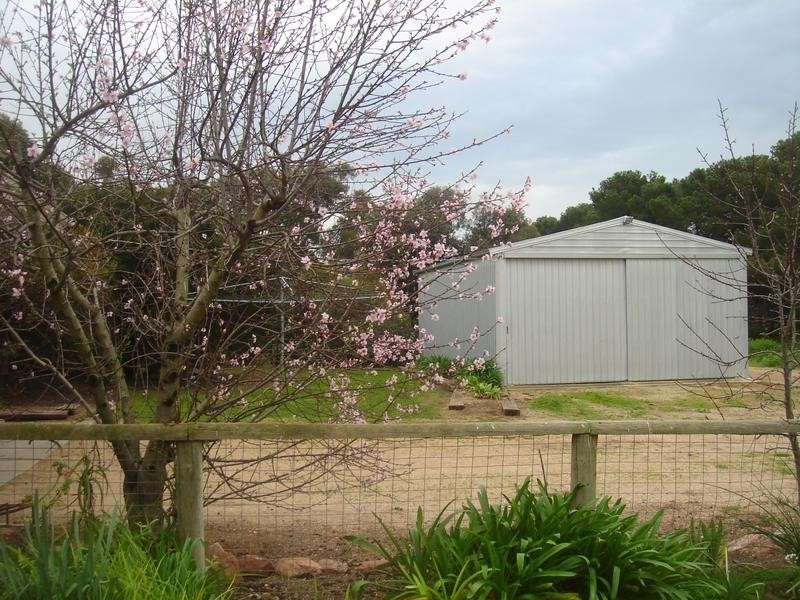 1341 Maitland Road, Ardrossan SA 5571