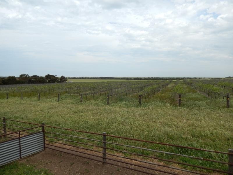 1341 Maitland Road, Ardrossan SA 5571