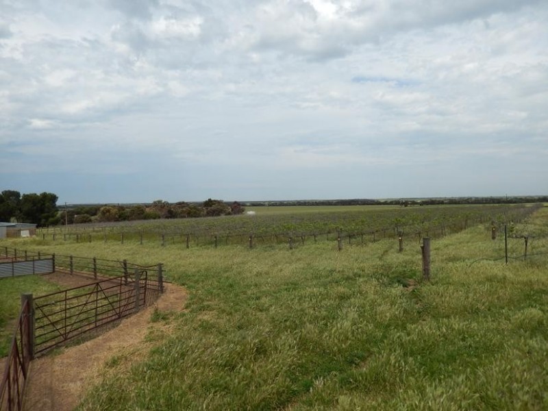 1341 Maitland Road, Ardrossan SA 5571