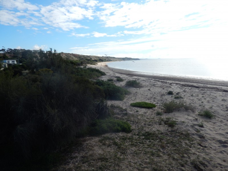 3 Earle Street, Pine Point SA 5571