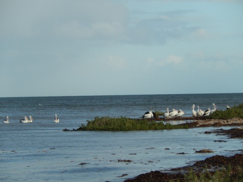 5 Kerr Street, Sheaoak Flat SA 5581