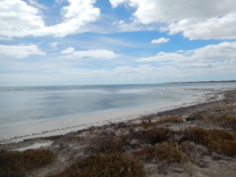 Lot 52, 28 Peregrine Drive, Marion Bay SA 5575