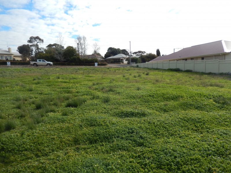 32 Clinton Road, Maitland SA 5573