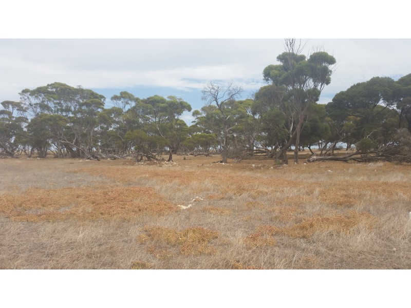 Lot 20, Allotment Croser Road, Port Rickaby SA 5575