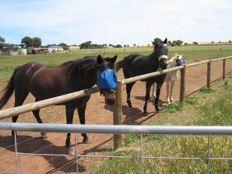 310 Main Coast Road, Ardrossan SA 5571