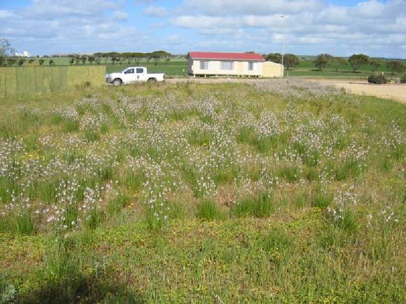 242 Douglas Court, Tiddy Widdy Beach SA 5571
