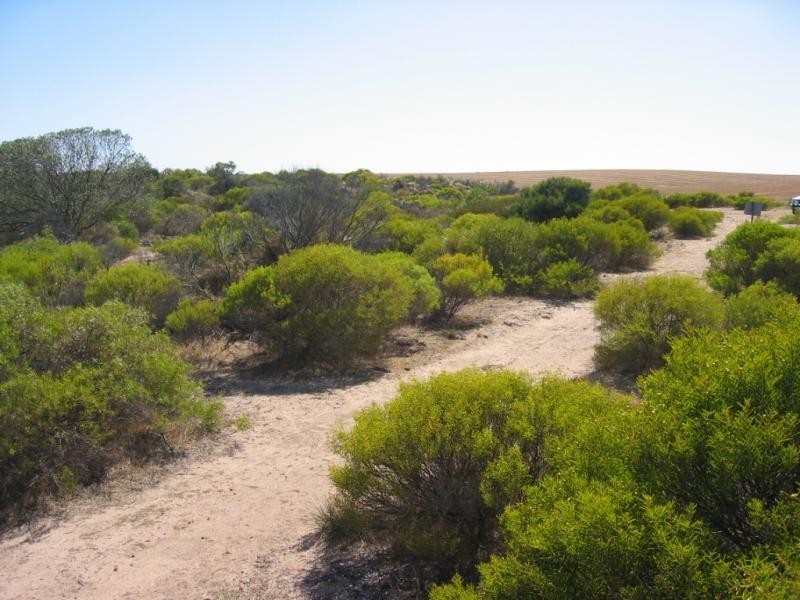 187 South Terrace, Balgowan SA 5573