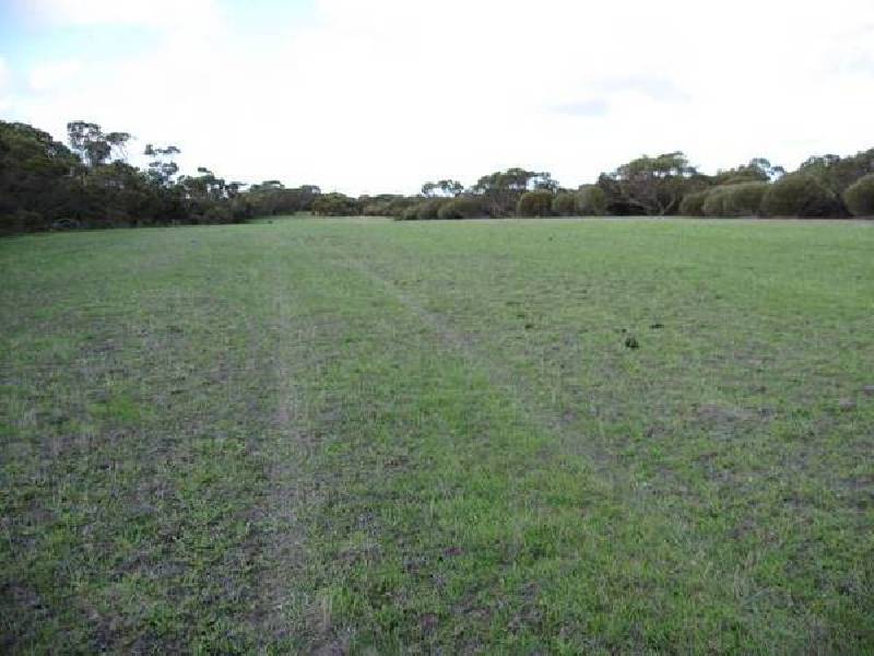 214 Hundred of Minlacowie, Minlaton SA 5575