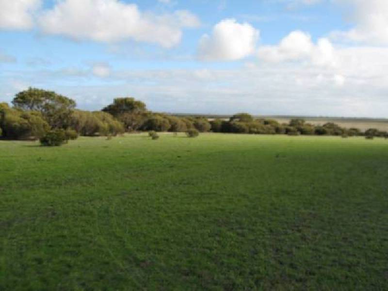 214 Hundred of Minlacowie, Minlaton SA 5575