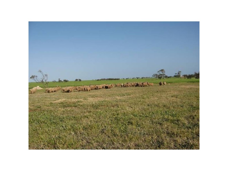 151 Sheaoak Flat Road, Curramulka SA 5580