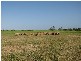 151 Sheaoak Flat Road, Curramulka SA 5580
