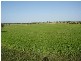 151 Sheaoak Flat Road, Curramulka SA 5580
