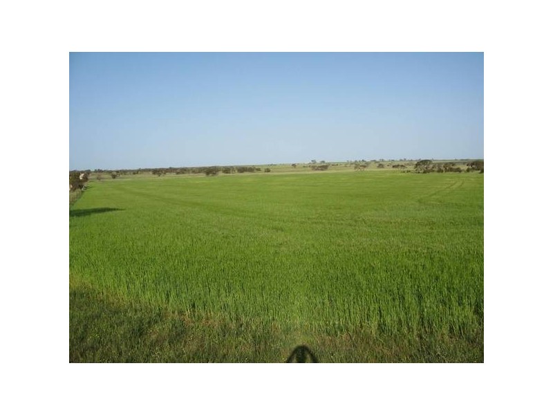 151 Sheaoak Flat Road, Curramulka SA 5580