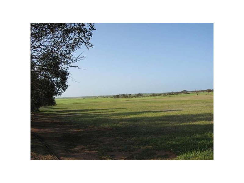 151 Sheaoak Flat Road, Curramulka SA 5580