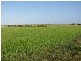 151 Sheaoak Flat Road, Curramulka SA 5580