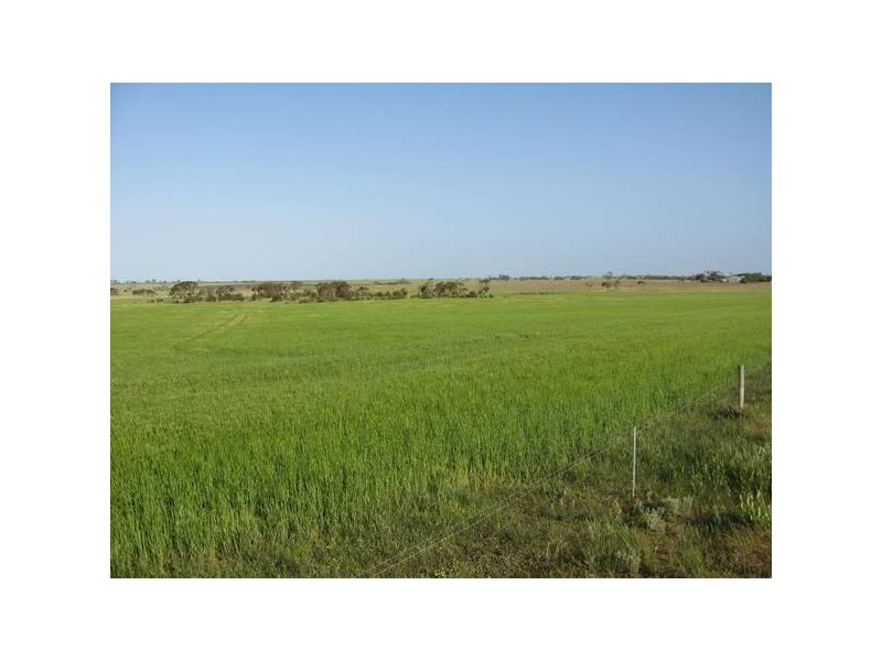 151 Sheaoak Flat Road, Curramulka SA 5580
