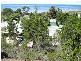 67 Main Street, Pine Point SA 5571