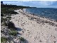 67 Main Street, Pine Point SA 5571
